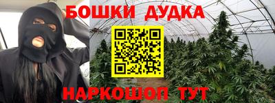 тгк Новозыбков