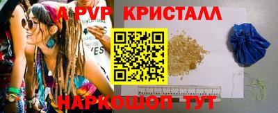 тгк Новозыбков