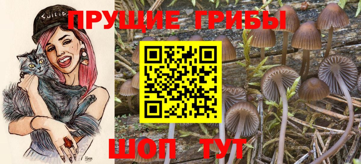 Псилоцибиновые грибы мухоморы  Вход с VPN  Острогожск 