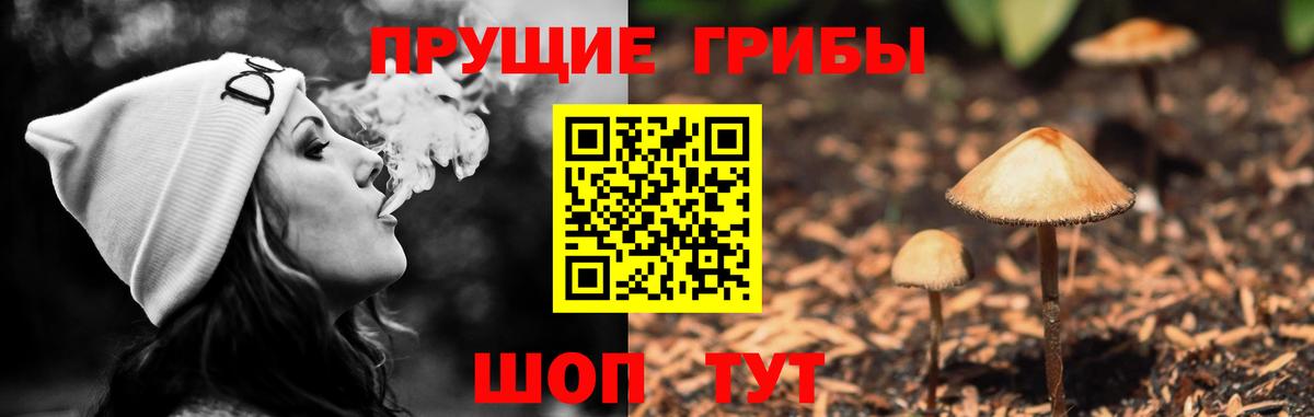 Псилоцибиновые грибы ЛСД Острогожск